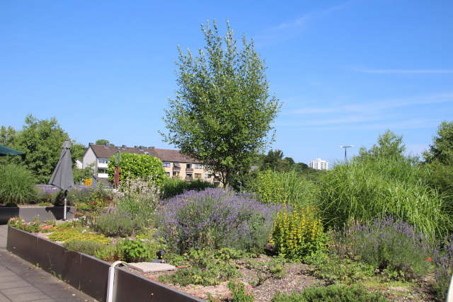 Demenz-WG VingstVeedel: Sinnesgarten